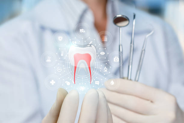 Reliable Dixon, IL  Holistic Dental Services Solutions